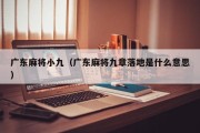 广东麻将小九（广东麻将九章落地是什么意思）