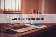 wi篮球（wi开头的篮球品牌）