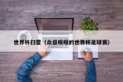 世界杯扫雷（众目睽睽的世界杯足球赛）