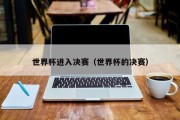 世界杯进入决赛（世界杯的决赛）