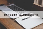 世界杯比赛规则（五人制足球场造价预算）