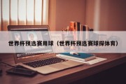 世界杯预选赛用球（世界杯预选赛球探体育）