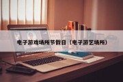电子游戏场所节假日（电子游艺场所）