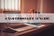 小飞人电子游戏叫什么名字（小飞人官网）