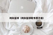 纯白篮球（纯白篮球鞋韦德之道）